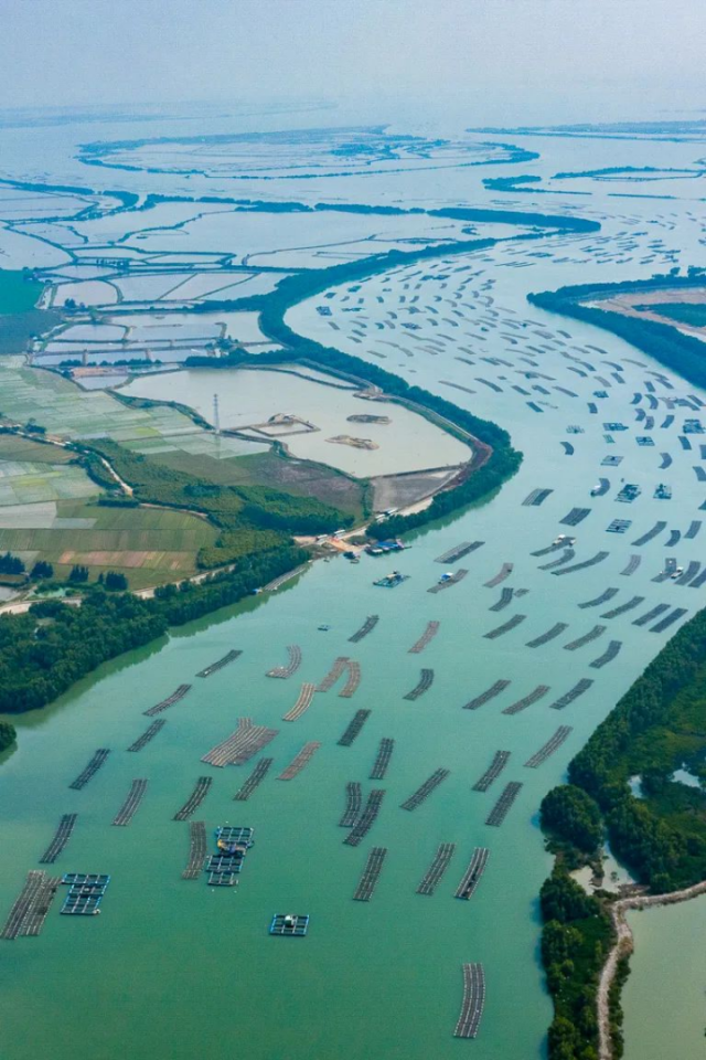 广东湛江壮观的的蚝排群，像漂浮在水上的小舟。图 | 地道风物 摄影 | 笑飞雪