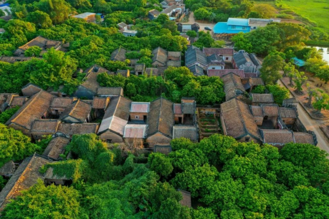 湛江雷州市白沙镇邦塘村。摄影 | 罗锦屏 图 | 湛江发布