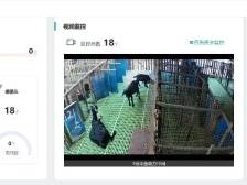 深圳首笔！深汕“智慧畜牧贷”助力“百千万工程”