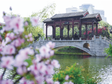 来广东过大年！佛山告诉你，年味为何“粤来粤浓”？