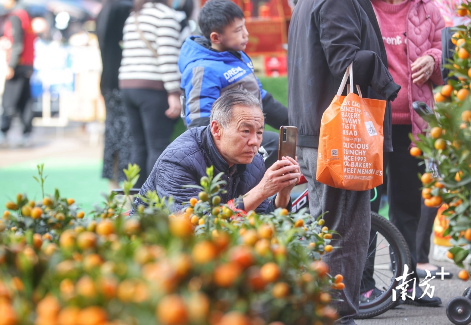 繁华的迎春花市，吸引了不少市民拍照打卡。 南方+ 叶志文 摄
