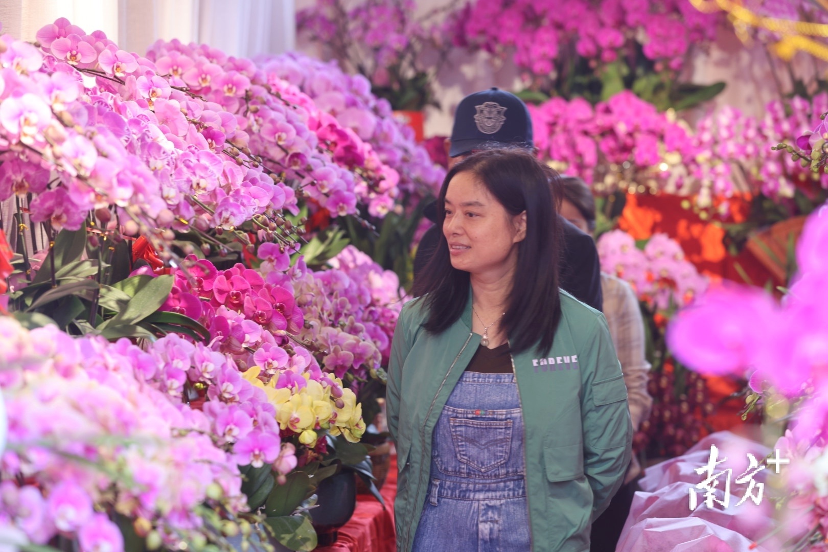 市民正在观赏选购年花。 南方+ 叶志文 摄