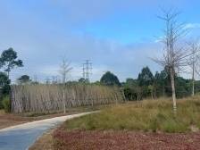 “南”得一见的“宝”藏公园，牛成村7000多居民有了新年礼物