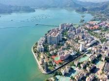 李忠：重现“购物天堂”盛景，打造“海上新盐田”