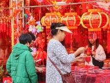 图集｜行花街过大年，中山沙岗墟迎春花市开了