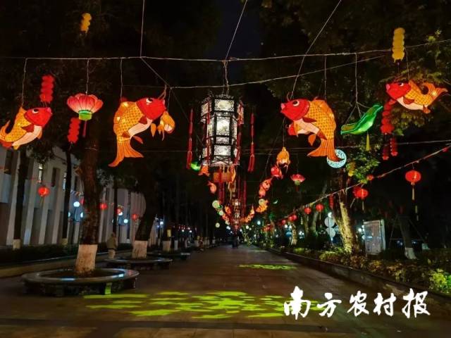 江門(mén)市新會(huì)區(qū)新春魚(yú)燈展。