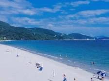 春节游大鹏官湖！灯展、集市、乐队等活动“渔”您有约！