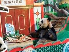 广东NO.1｜转发+收藏！在广东过大年的最TOP打卡指南来了