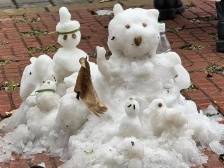 @广州市民，有三车“尔滨”的雪运到了广州