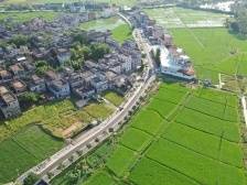 江门两会热议｜聚焦“百千万工程”，推动城镇区域一体化发展