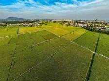 农林牧渔业增速全省前三，江门如何跑出加速度 ？| 江门两会