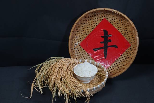 选材“活道大米”的高桂米,煮成熟米饭 选材“活道大米”的高桂米,煮成熟米饭
