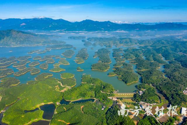 广东开平孔雀湖省重要湿地