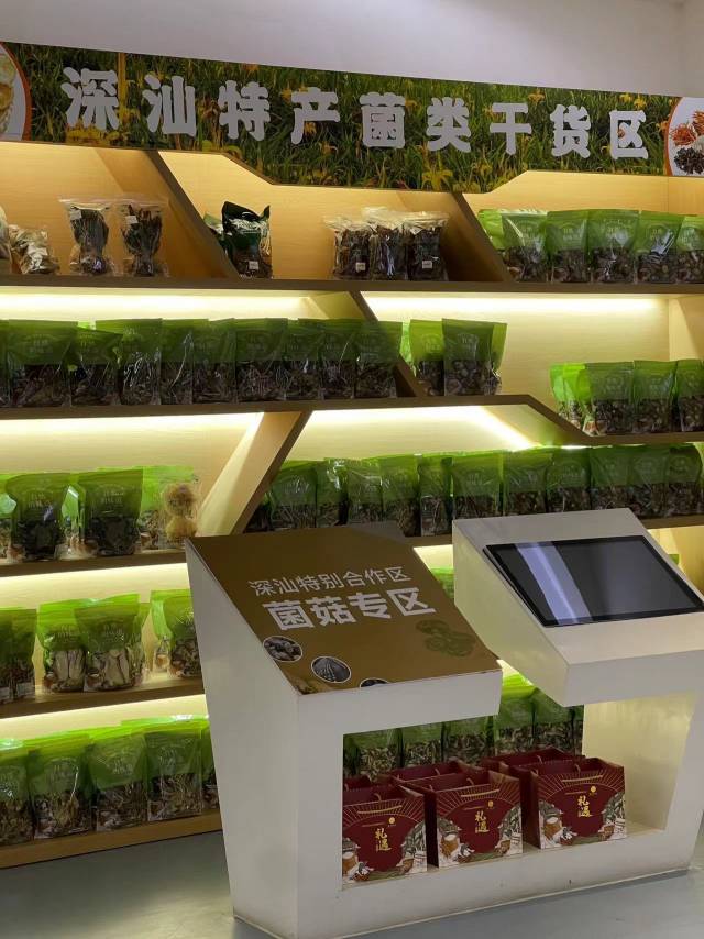 菌菇 菌菇