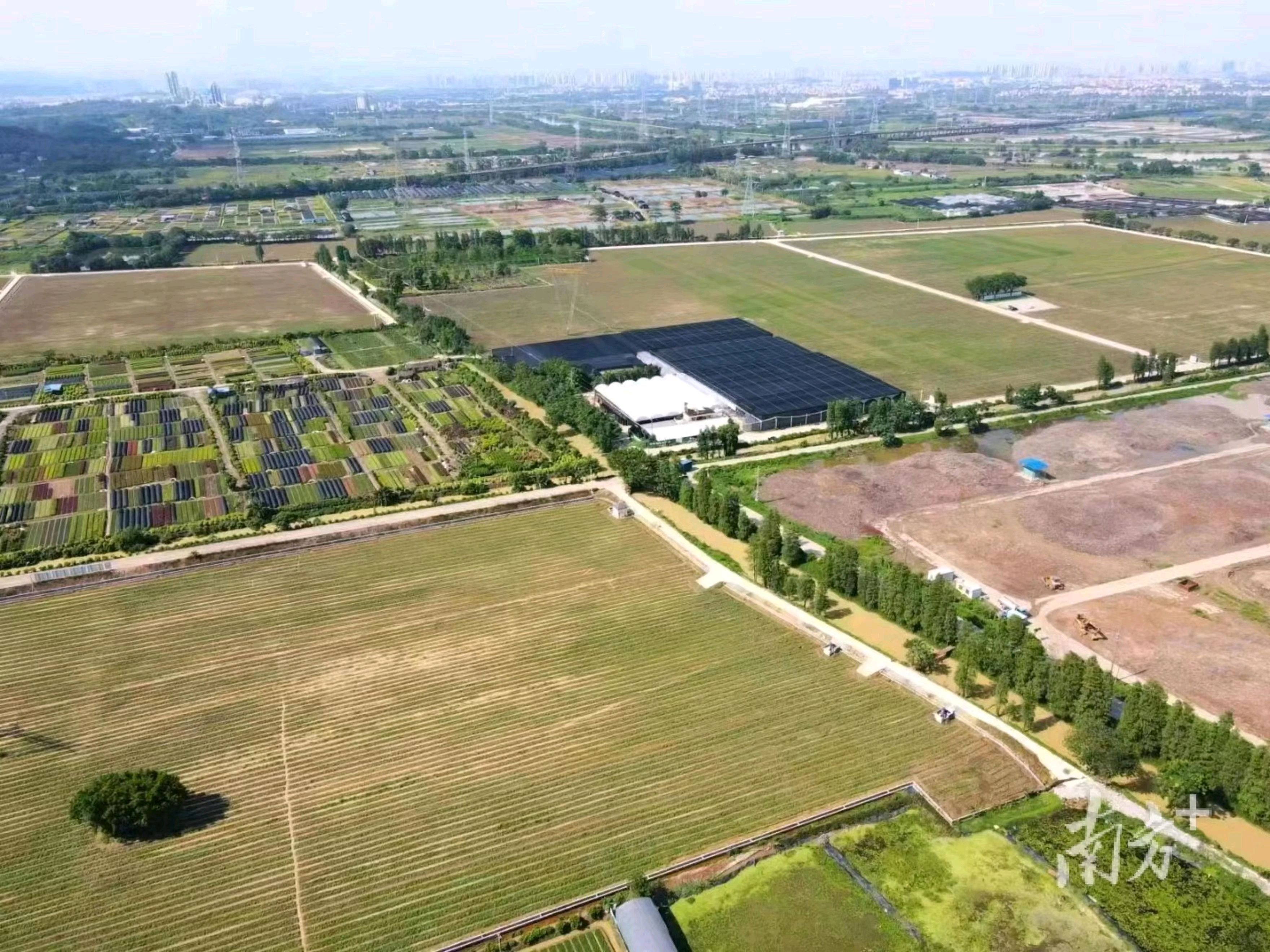 华穗耘谷项目。&nbsp; &nbsp;资料图片