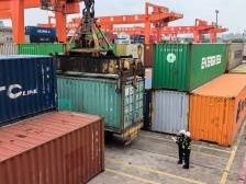 同比增长2.3倍，深中“组合港”流量飙升