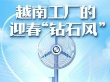 越南工厂的迎春“钻石风”