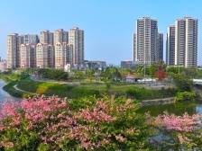 郑劲龙：争当江门东部高质量发展主力军｜江门两会