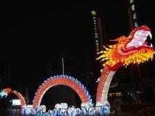 闹新春，来福田！龙灯秀、红包雨，过年气氛一步到位