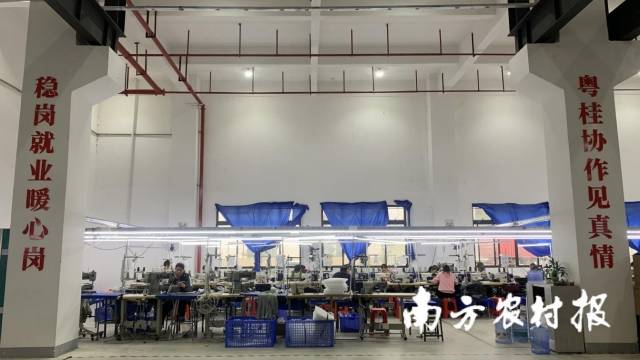 江海-大新加强区域产业协作，图为广西丽明珠箱包有限公司帮扶车间。