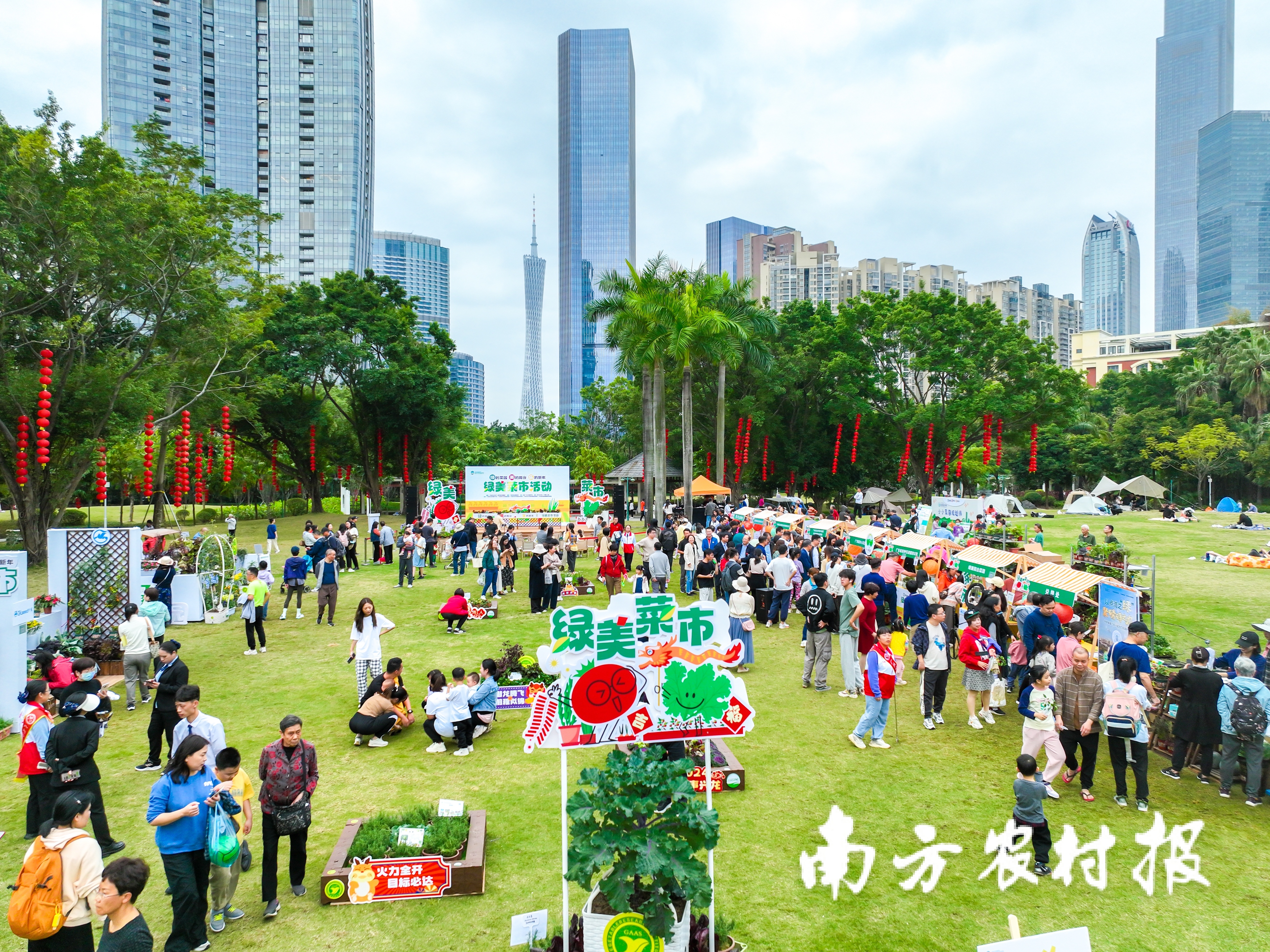 绿美菜市行动在广州市珠江公园举行。美广<strong></strong>