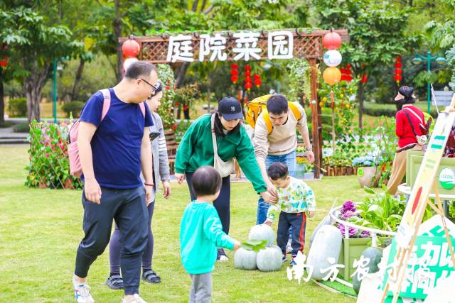 活动现场展示绿美菜园生活场景。