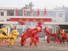 到洪梅·过大年｜超60项文体活动“龙”重登场