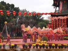 视频｜龙腾狮跃贺新春！宝墨园新春岭南醒狮民俗文化节来啦