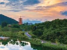 “六祖故里”邀请您来过大年 | 让家乡出圈