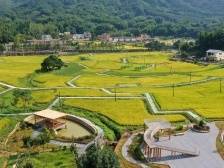 为奋力建设绿色发展美丽幸福示范县提供坚强保障——写在十四届龙门县纪委四次全会召开之际