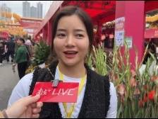 关于爱国路花市，7个深圳人有话说