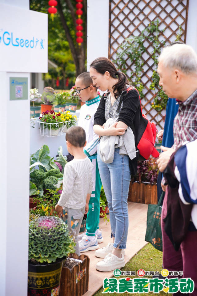 被阳台菜园上各种靓丽蔬菜吸引的市民。