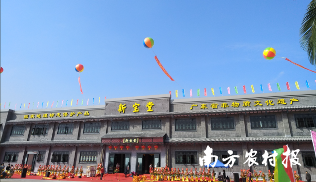 竹竹代竹产质量节向加快 绿路以业高霍上色新山县塑发展