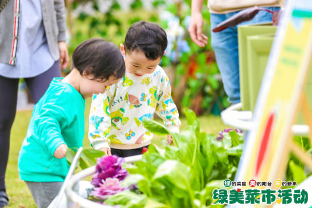 活动现场，小朋友被色彩鲜艳的蔬菜所吸引，喜悦的表情溢于言表。
