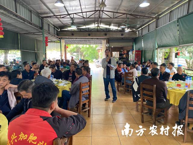 仙村镇荔枝协会负责人陈浩潮总结2023年荔枝产业发展情况