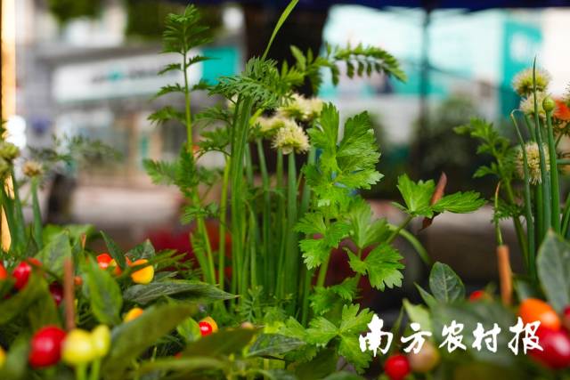 49家拟赴境外IPO企业已提交备案申请 目前监管层鼓励渠道畅通