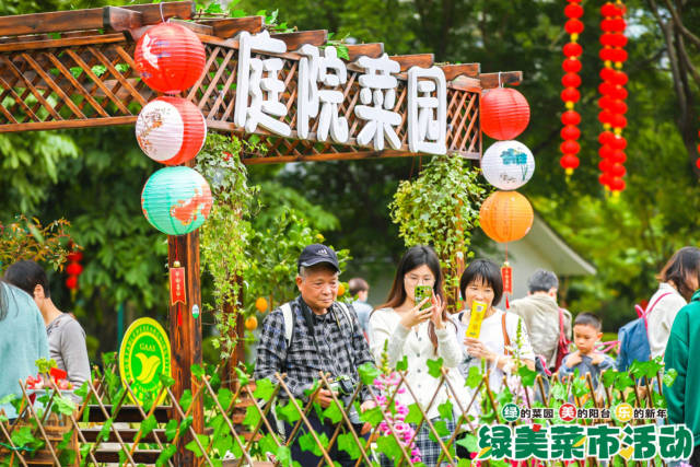 庭院菜园的场景中，市民纷纷拍照留念，咨询如何打造庭院菜园。