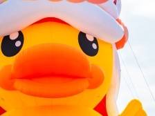 视频｜小黄鸭在大鹏南澳陪你过大年，还有一只麒麟鸭已上岸