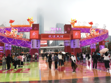 花漾天河年味“龙”，广宁农优产品亮相天河迎春花市