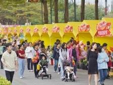 视频｜快来逛！佛山文华花市今天开锣