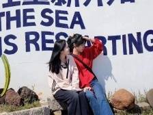 一日跨海广东游：当“特种兵”遇见慢生活｜2024琼州海峡春运系列报道②