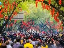 来惠州，过大年！