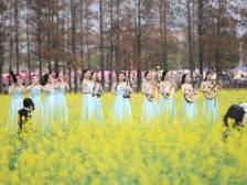 来广东过大年，第一批港澳“家人们”到珠海了！