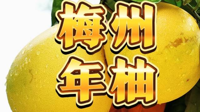 金“柚”满堂！客家人必囤的年味｜让家乡出圈