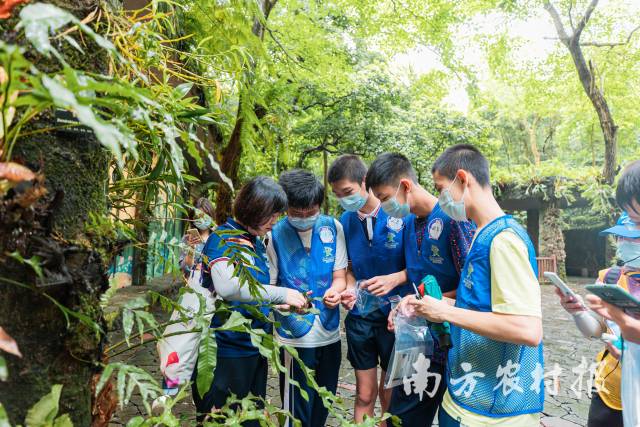 孩子们在自然教育径上开展活动 孩子们在自然教育径上开展活动