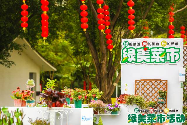 农业经济生态循环下食用菌提质栽培策略研究(一)