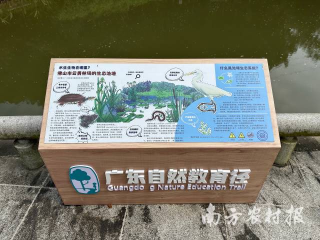 佛山市云勇林场花香蝶语自然教育径 佛山市云勇林场花香蝶语自然教育径