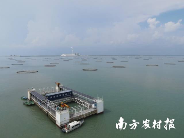 湛江落地广东省首单桁架式深海网箱保险