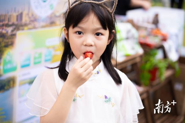 小朋友在试吃圣女果