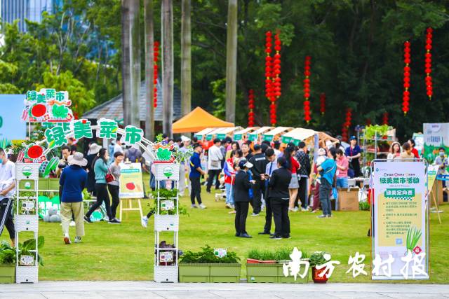 绿美菜市活动现场。 绿美菜市活动现场。
